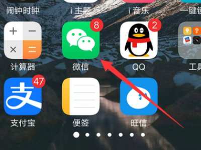 如何在手机上查询核算检测结果