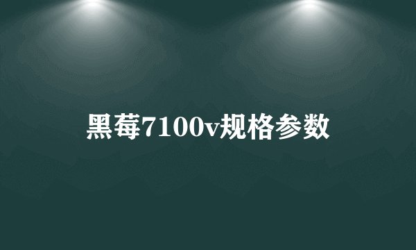 黑莓7100v规格参数