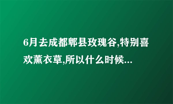 6月去成都郫县玫瑰谷,特别喜欢薰衣草,所以什么时候去开的最盛呢？...