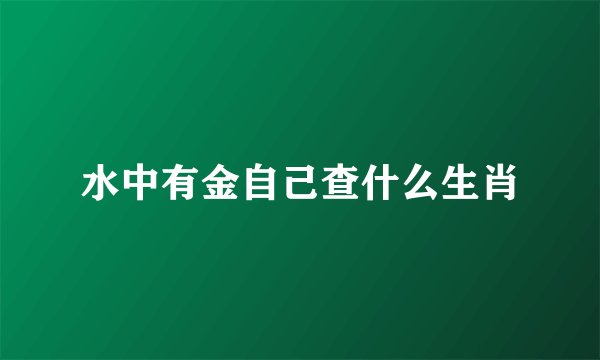 水中有金自己查什么生肖