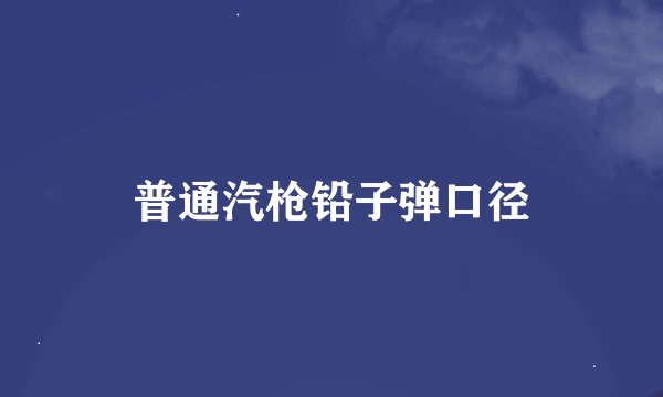 普通汽枪铅子弹口径