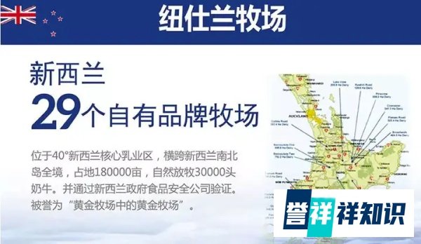 南半球的空气都是甜的 | 马云在新西兰亲手挤的鲜牛奶