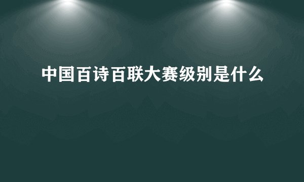中国百诗百联大赛级别是什么