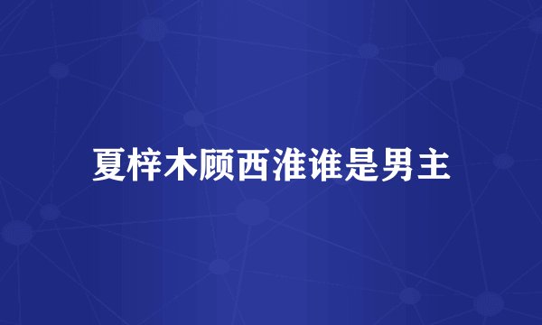 夏梓木顾西淮谁是男主