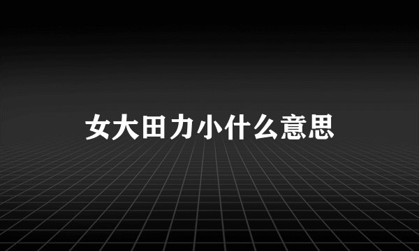 女大田力小什么意思
