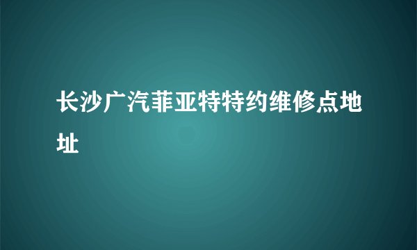 长沙广汽菲亚特特约维修点地址