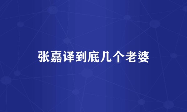 张嘉译到底几个老婆