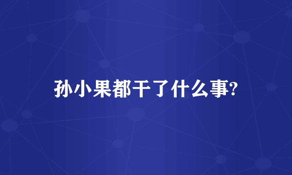 孙小果都干了什么事?