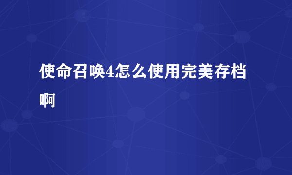 使命召唤4怎么使用完美存档啊