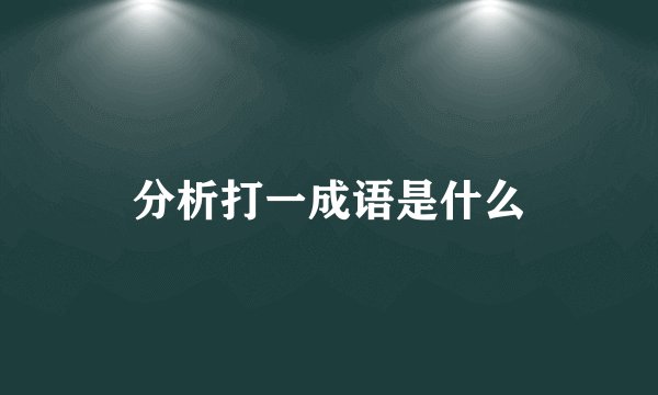 分析打一成语是什么