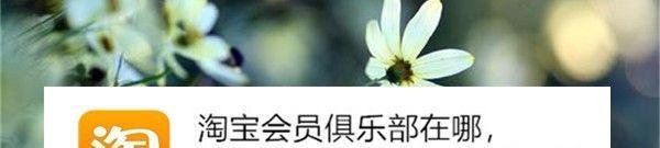 淘宝会员俱乐部在哪 如何查看消费金额 购物天数