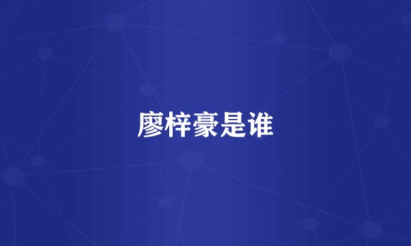 廖梓豪是谁