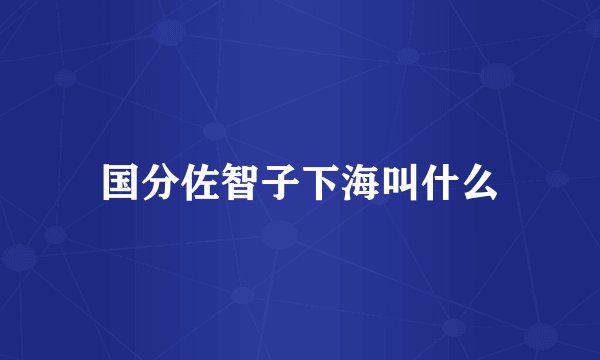 国分佐智子下海叫什么