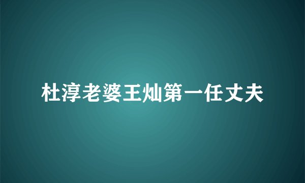 杜淳老婆王灿第一任丈夫