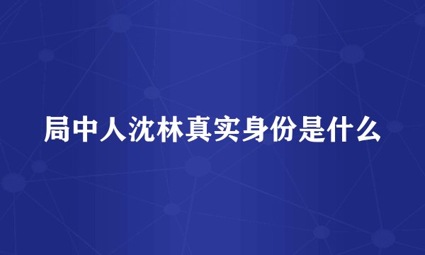 局中人沈林真实身份是什么