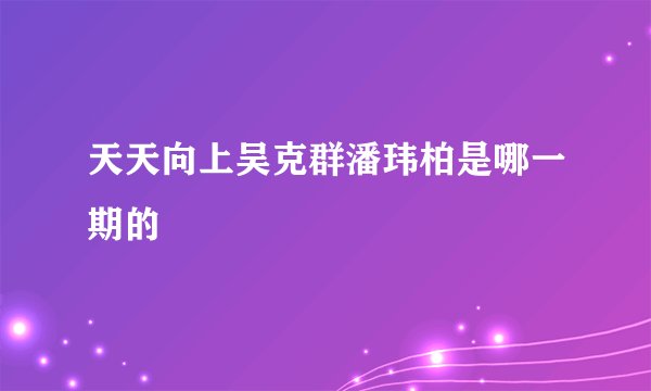 天天向上吴克群潘玮柏是哪一期的