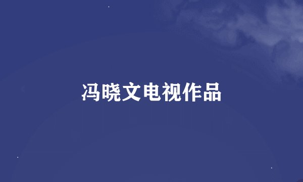 冯晓文电视作品