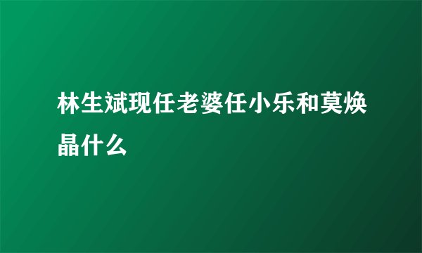 林生斌现任老婆任小乐和莫焕晶什么