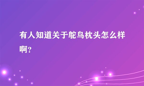 有人知道关于鸵鸟枕头怎么样啊？