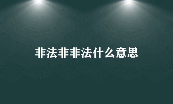 非法非非法什么意思