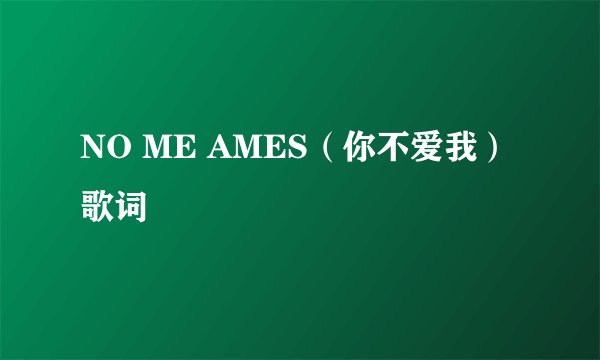 NO ME AMES（你不爱我） 歌词
