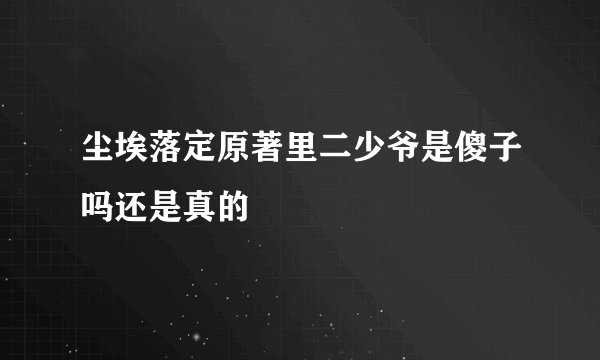 尘埃落定原著里二少爷是傻子吗还是真的