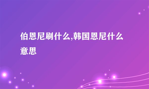 伯恩尼刷什么,韩国恩尼什么意思