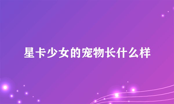 星卡少女的宠物长什么样