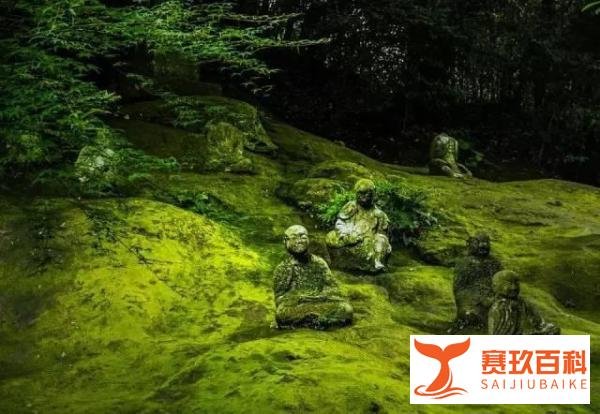 谁在我家(祖辈的陈年旧事)