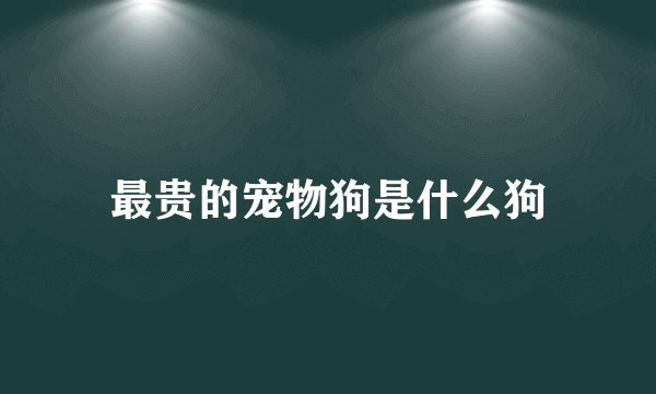 最贵的宠物狗是什么狗
