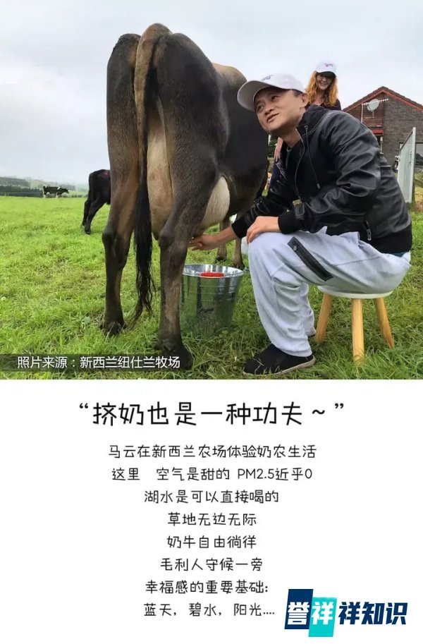 南半球的空气都是甜的 | 马云在新西兰亲手挤的鲜牛奶