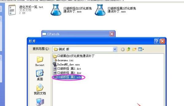 口袋妖怪黑2免通讯进化补丁使用方法