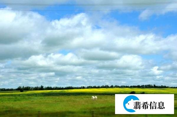 加拿大萨省介绍