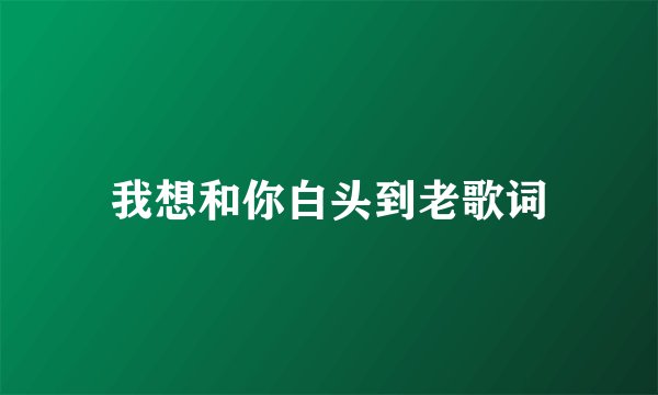 我想和你白头到老歌词