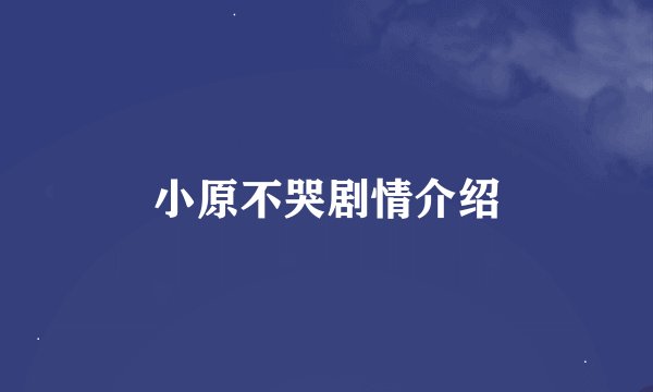 小原不哭剧情介绍