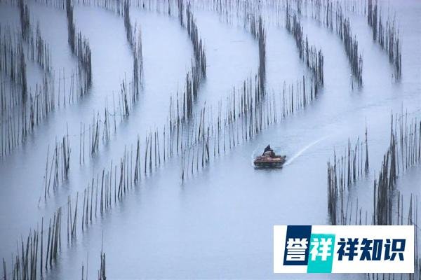 经济学论文发表：时间管理与杂志选择指南