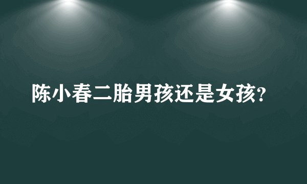 陈小春二胎男孩还是女孩？