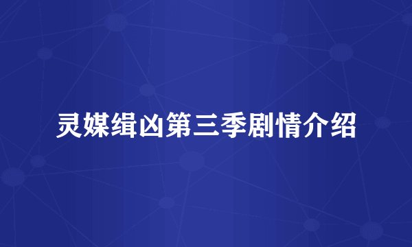 灵媒缉凶第三季剧情介绍