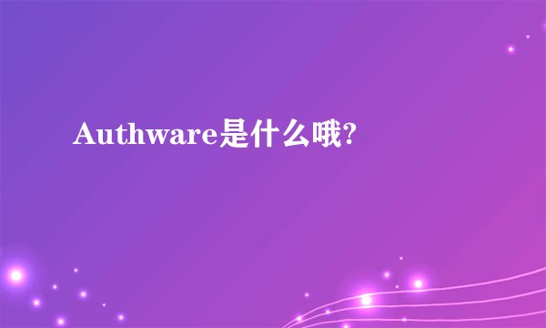 Authware是什么哦?