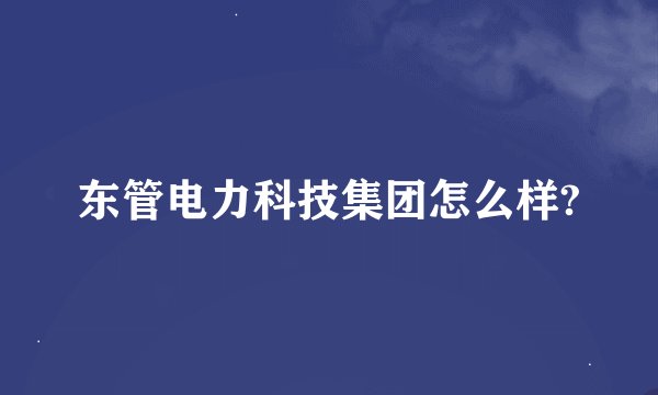 东管电力科技集团怎么样?