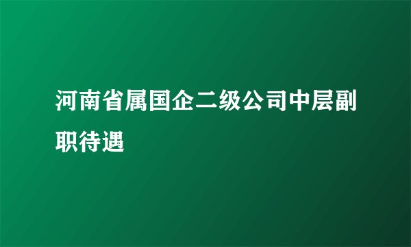 河南省属国企二级公司中层副职待遇