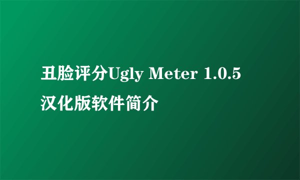 丑脸评分Ugly Meter 1.0.5 汉化版软件简介