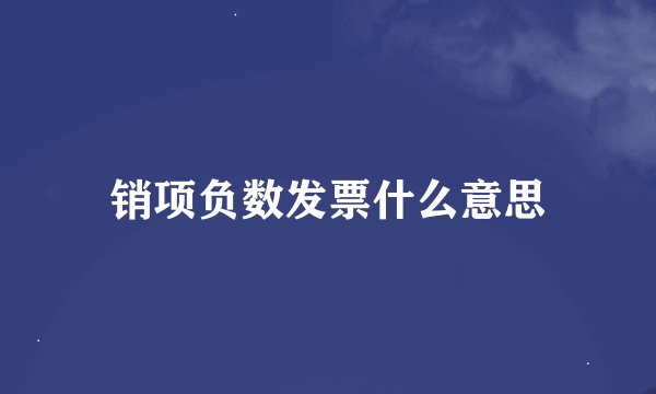 销项负数发票什么意思
