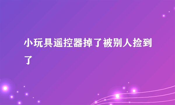 小玩具遥控器掉了被别人捡到了
