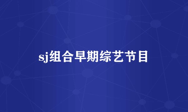 sj组合早期综艺节目