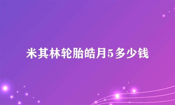米其林轮胎皓月5多少钱