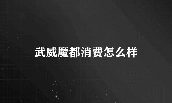 武威魔都消费怎么样