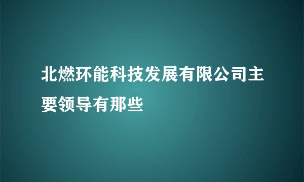 北燃环能科技发展有限公司主要领导有那些