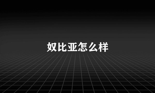 奴比亚怎么样