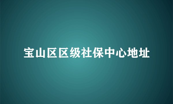 宝山区区级社保中心地址